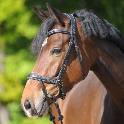 Bridon muserolle anatomique cheval Ivy Plus - Kavalkade 