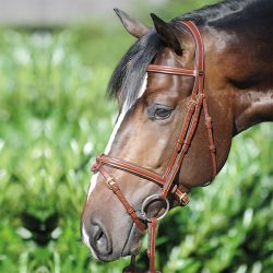 Bridon cuir cheval Lorenz muserolle combinée - Kavalkade 