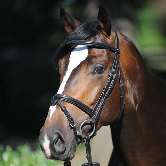 Bridon cuir cheval Lorenz muserolle combinée - Kavalkade 