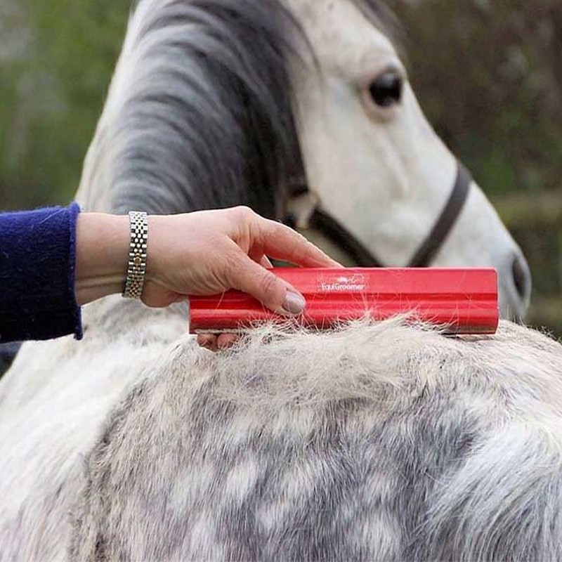 Étrille magique mue cheval - Equigroomer - EQUIGROOMER - Étrilles