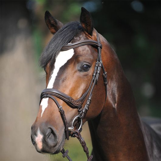 Bridon cuir cheval muserolle combinée anatomique Ivy - Kavalkade Bridon cuir cheval muserolle combinée anatomique Ivy - Kavalkade