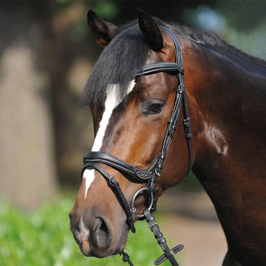 Bridon cuir cheval muserolle combinée anatomique Ivy - Kavalkade