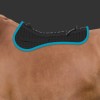 Amortisseur cheval avec Correction System personnalisable - Mattes 