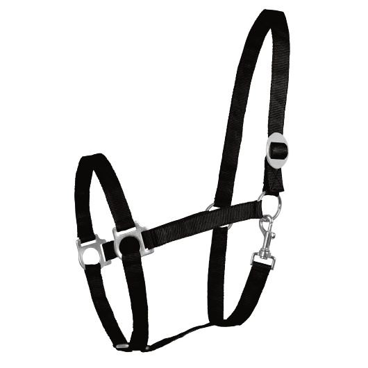 Licol cheval nylon doublé doux Perlon - Waldhausen Licol cheval nylon doublé doux Perlon - Waldhausen