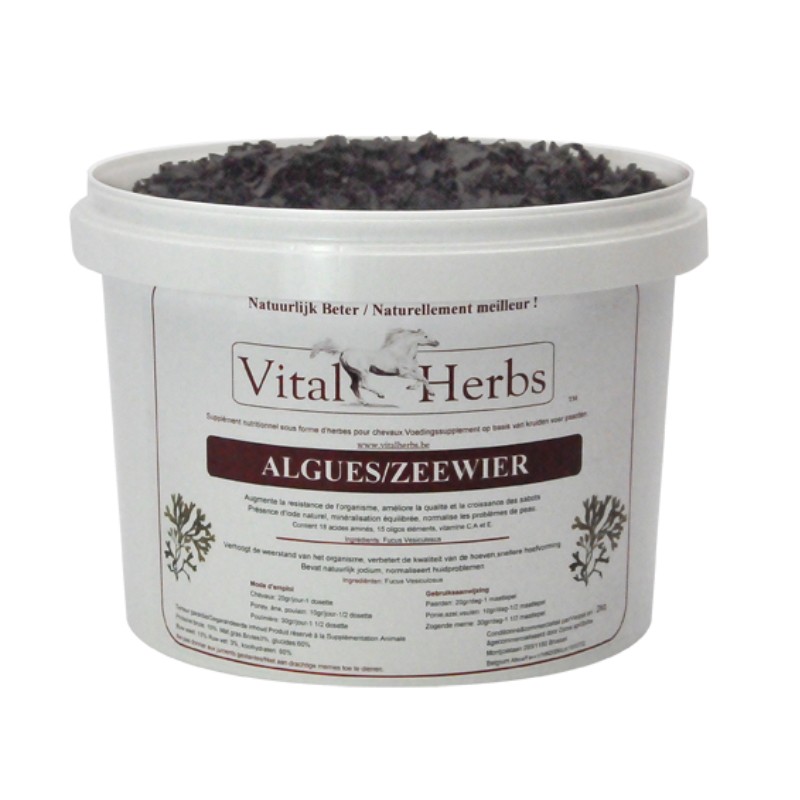 Algues Marines Vital Herbs cheval état général 5kg