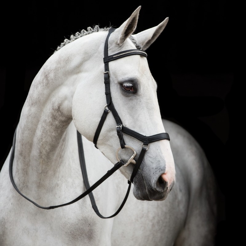 Bridon cuir anatomique cheval Micklem Diamante Rambo - Horseware  