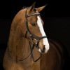 Bridon cuir anatomique cheval Micklem Diamante Rambo - Horseware  