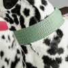 Collier pour chien Jacquard - Kentucky Dogwear 