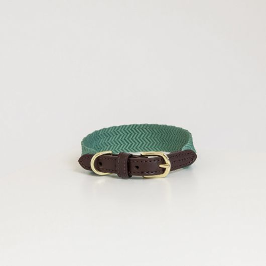 Collier pour chien Jacquard - Kentucky Dogwear 
