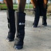 Protections de transport cheval (x4) - Bucas 