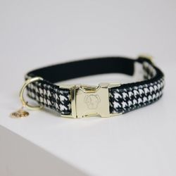 Collier pour chien nid-de-poule - Kentucky Dogwear