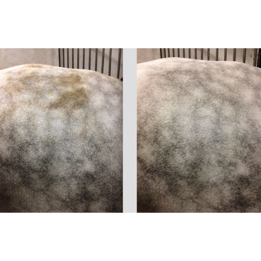 Easy Shine Mouss - Nettoyant sec cheval - Ravene