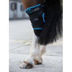 Protège-jarrets massant cheval Ice-Vibe - Horseware