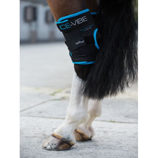 Protège-jarrets massant cheval Ice-Vibe - Horseware