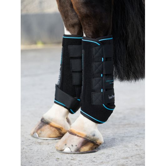Guêtres massantes cheval Ice-Vibe - Horseware