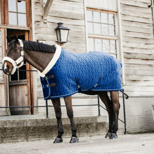 Couverture de présentation cheval Velvet 160 gr - Kentucky Horsewear Couverture de présentation cheval Velvet 160 gr - Kentucky Horsewear