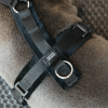 Harnais pour chien actif Velvet - Kentucky Horsewear 