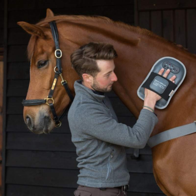 Gant de massage cheval - Equilibrium 