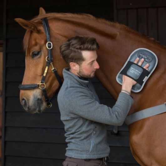 Gant de massage cheval - Equilibrium Gant de massage cheval - Equilibrium