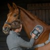 Gant de massage cheval - Equilibrium 