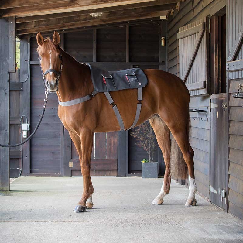 Tapis de massage cheval - Equilibrium 