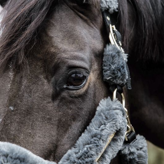 Licol cheval doublé mouton synthétique - Kentucky Horsewear