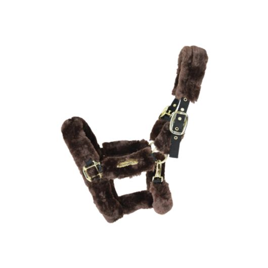 Licol cheval doublé mouton synthétique - Kentucky Horsewear Licol cheval doublé mouton synthétique - Kentucky Horsewear