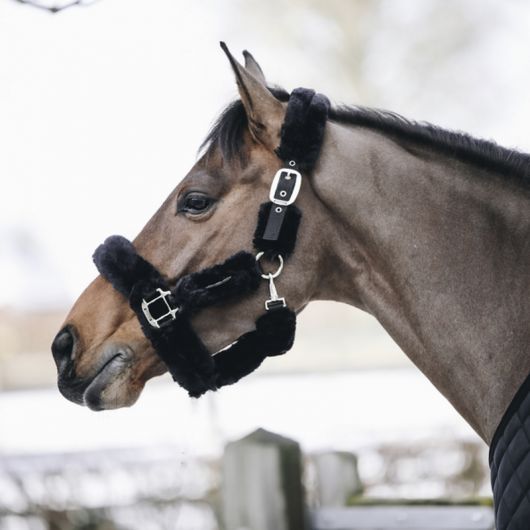 Licol cheval doublé mouton synthétique - Kentucky Horsewear
