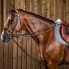 Rênes allemandes tout cuir cheval Working Collection - Dyon