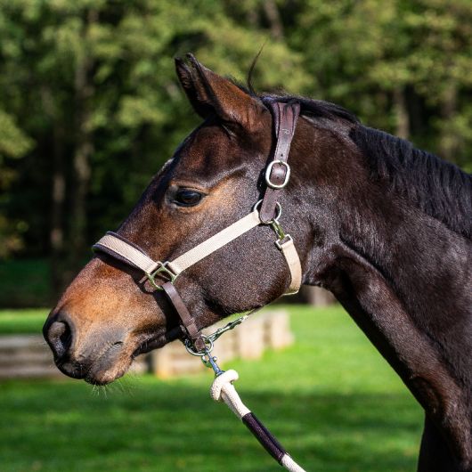 Licol cheval 2 en 1 Transport et Grooming La Cense - Dy'on Licol cheval 2 en 1 Transport et Grooming La Cense - Dy'on