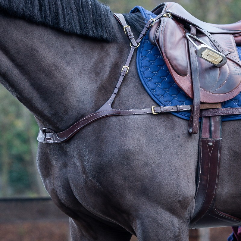 Couvre rein pour chevaux 3 en 1 Dyon - Dyon - Equipement équitation