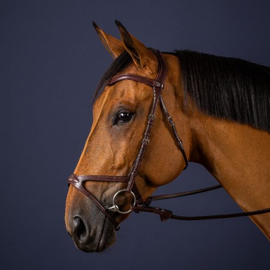 Bridon cheval X-Fit New English Collection - Dyon Bridon cheval X-Fit New English Collection - Dyon