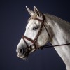Bridon cheval muserolle combinée New English Collection - Dyon