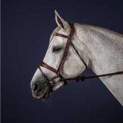 Bridon cheval muserolle combinée anatomique New English Collection - Dyon