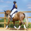 Tapis de dressage cheval satin Vision - Woof Wear