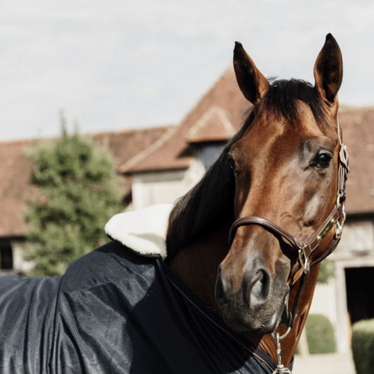 Protection de garrot cheval Horse Bib - Kentucky Horsewear