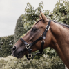 Licol cheval simili-cuir nylon tressé - Kentucky Horsewear