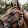 Licol cheval simili-cuir nylon tressé - Kentucky Horsewear