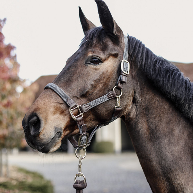 Licol cheval simili-cuir nylon tressé - Kentucky Horsewear