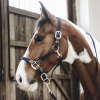 Licol cheval simili-cuir nylon tressé - Kentucky Horsewear