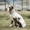 Manteau de pluie pour chien - Kentucky Dogwear 
