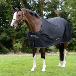 Chemise séchante cheval Power Cooler - Bucas