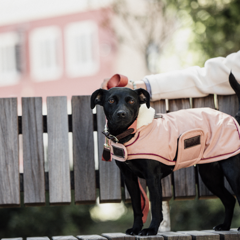 Manteau chien imperméable 160gr - Kentucky 