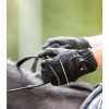 Gants équitation toutes saisons Function - Elt  