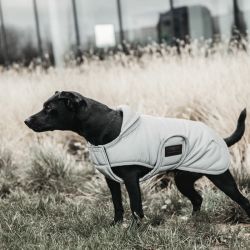 Manteau chien réfléchissant et hydrofuge 150gr - Kentucky Dogwear