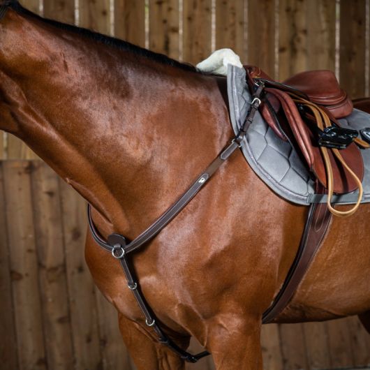 Dyon - Briderie, chaps et matériel pour cheval et cavalier