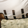 Chemise anti-mouche cheval Mesh - Kentucky Horsewear 