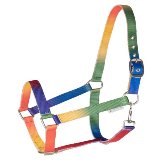 Licol cheval nylon Arc-en-ciel - Waldhausen Licol cheval nylon Arc-en-ciel - Waldhausen