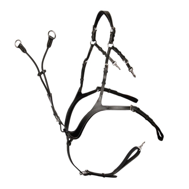 Collier de chasse cheval 5 points Deluxe - Harry's Horse