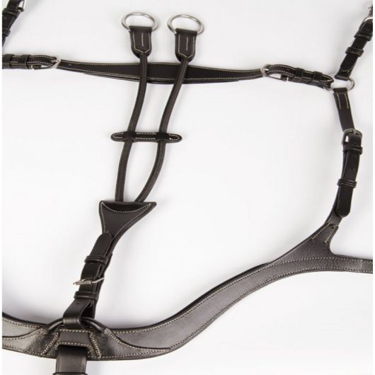 Collier de chasse cheval 5 points Deluxe - Harry's Horse